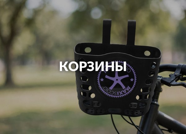Корзины