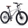 Велосипед детский MAXISCOO "7BIKE" 20'' M700 Серебро (2024)